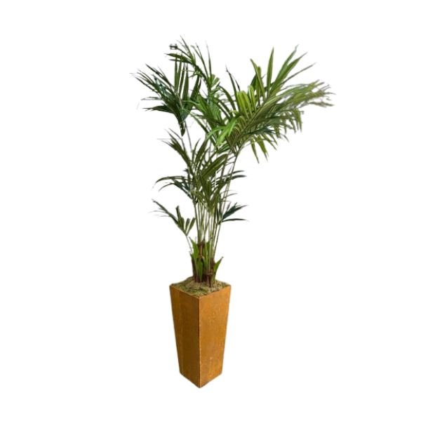 Kunstplant Kentia in cortens staal