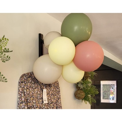Organic Ballonnentros (6 ballonnen)